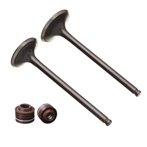 Kit Valvula Admissão e Escape Retentor Titan 150 2004 a 2008
