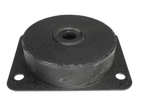 COXIM DIANTEIRO MOTOR F10/12