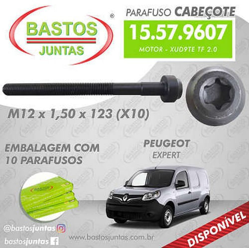 PARAFUSO DE CABECOTE - PEUGEOT 306 406 806 BOXER EXPERT GRI SRI STI CITROEN JUMPER PARTNER XUD9TE TF 2.0