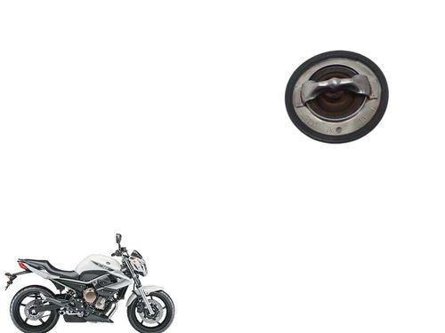 Válvula Termostática Yamaha Xj6 10-19