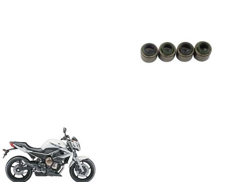 Retentor  Valvula  (4und) Xj6 2010 2019