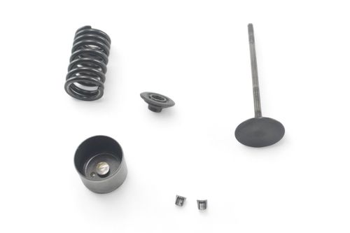 Kit Mola\Prato\Válvula Admissão Honda Cb600f Hornet 08-14