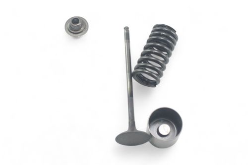 Kit Prato\Mola\Válvula Escape (Ex) Honda Cbr 600 Rr 07-12