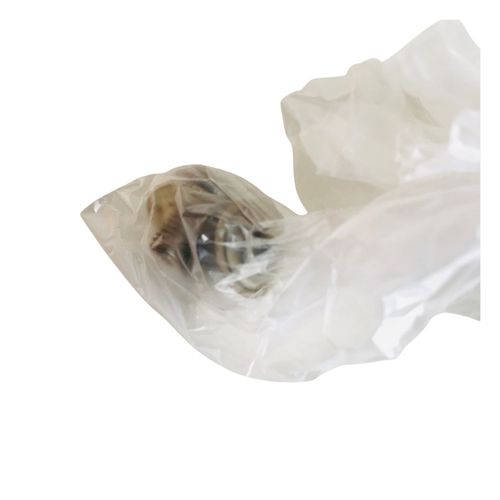 2 Parafusos Caixa Bateria Ninja 250 11 Original