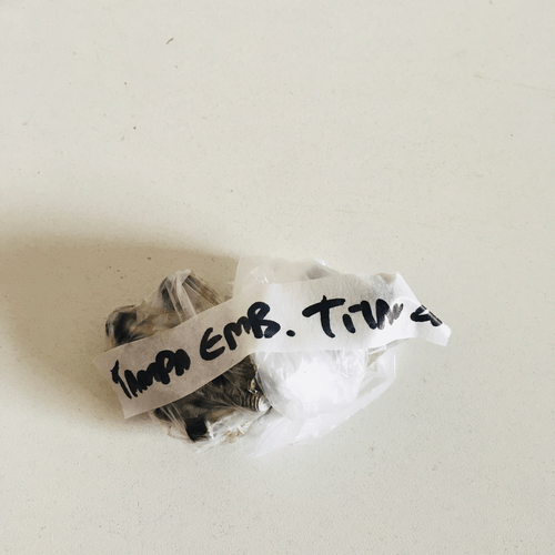 Kit Parafusos 8mm Tampa Embreagem Cg Titan 125 2001 Original