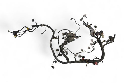 Chicote Principal Kawasaki Zx6 R 09-12