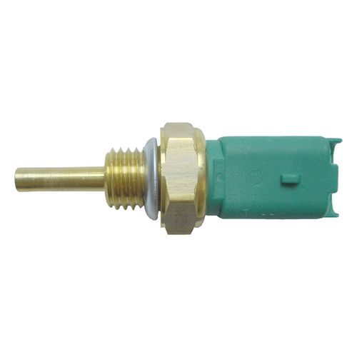 Cebolinha Temperatura PALIO 2005/2013 - 39758 - 4056