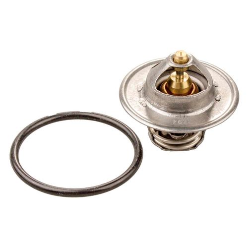 Termostato PASSAT 1996/2005 - 29218 - 229487