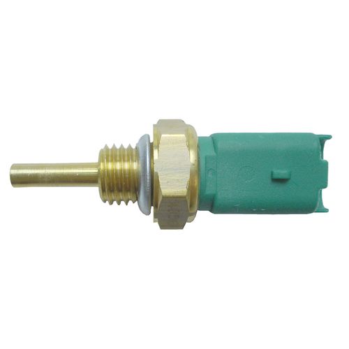 Cebolinha Temperatura BRAVA 2002/2003  - 39028 - 44056