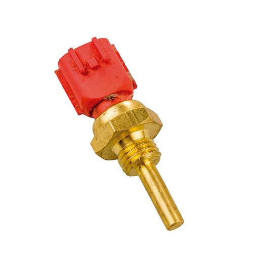 Cebolinha Temperatura SENTRA 2004/2016 - 55546 - 44000